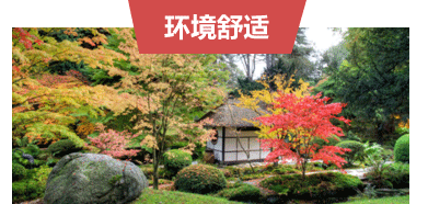 PACIFIC PLUS | 太加海外