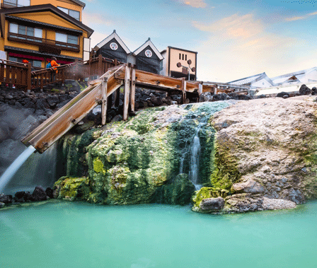 PACIFIC PLUS | 太加海外