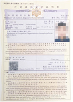 PACIFIC PLUS | 太加海外